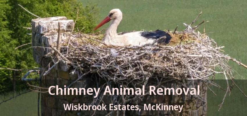Chimney Animal Removal Wiskbrook Estates, McKinney - TX Chimney Animal Removal Wiskbrook Estates, McKinney - TX