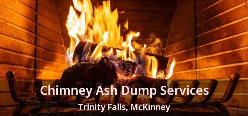 Chimney Ash Dump Services Trinity Falls, McKinney - TX