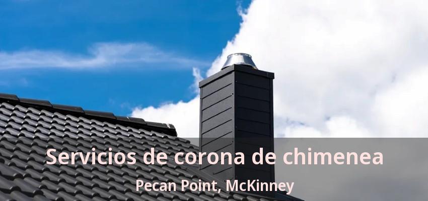 Servicios de corona de chimenea Pecan Point, McKinney - TX Servicios de corona de chimenea Pecan Point, McKinney - TX