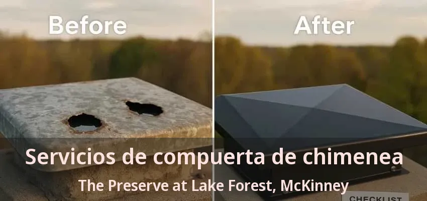 Servicios de compuerta de chimenea The Preserve at Lake Forest, McKinney - TX