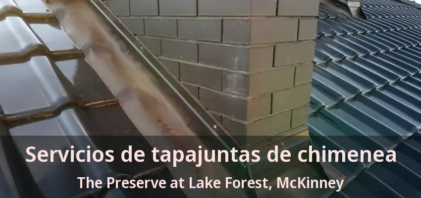 Servicios de tapajuntas de chimenea The Preserve at Lake Forest, McKinney - TX Servicios de tapajuntas de chimenea The Preserve at Lake Forest, McKinney - TX