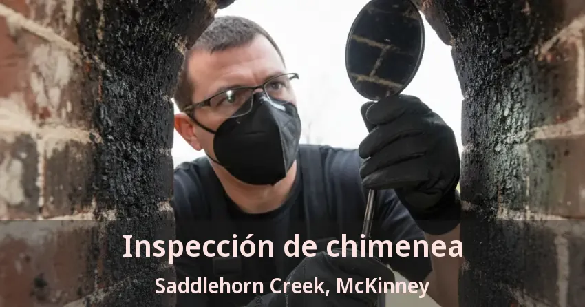 Inspección de chimenea Saddlehorn Creek, McKinney - TX Inspección de chimenea Saddlehorn Creek, McKinney - TX