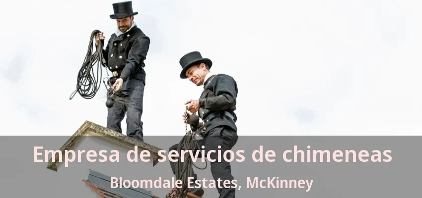 Empresa de servicios de chimeneas Bloomdale Estates, McKinney - TX Empresa de servicios de chimeneas Bloomdale Estates, McKinney - TX