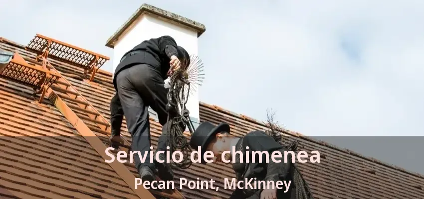 Servicio de chimenea Pecan Point, McKinney - TX Servicio de chimenea Pecan Point, McKinney - TX