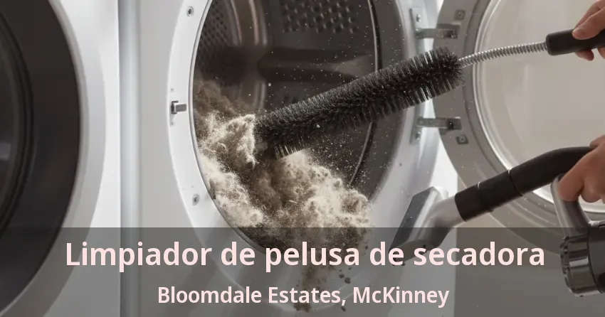 Limpiador de pelusa de secadora Bloomdale Estates, McKinney - TX