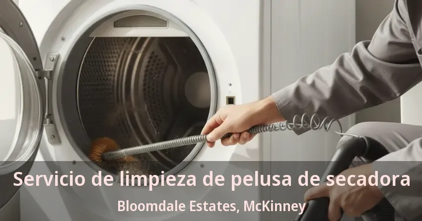 Servicio de limpieza de pelusa de secadora Bloomdale Estates, McKinney - TX Servicio de limpieza de pelusa de secadora Bloomdale Estates, McKinney - TX