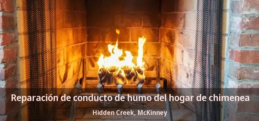 Reparación de conducto de humo del hogar de chimenea Hidden Creek, McKinney - TX