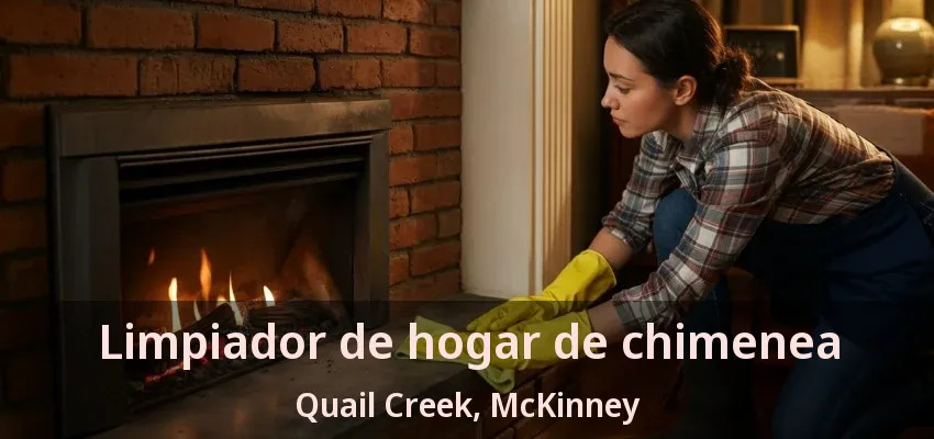 Limpiador de hogar de chimenea Quail Creek, McKinney - TX Limpiador de hogar de chimenea Quail Creek, McKinney - TX