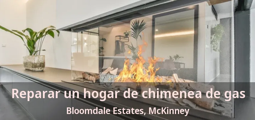 Reparar un hogar de chimenea de gas Bloomdale Estates, McKinney - TX Reparar un hogar de chimenea de gas Bloomdale Estates, McKinney - TX