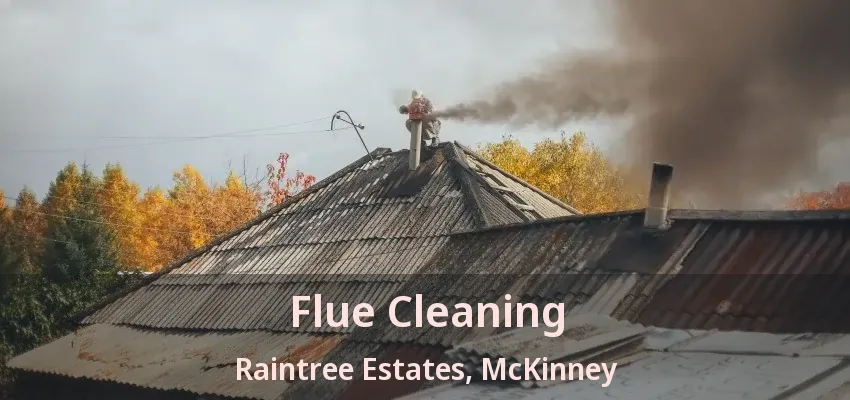 Flue Cleaning Raintree Estates, McKinney - TX Flue Cleaning Raintree Estates, McKinney - TX