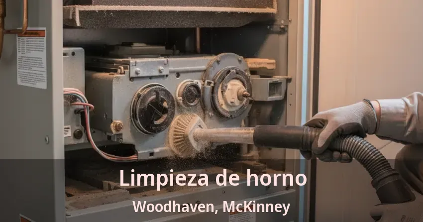 Limpieza de horno Woodhaven, McKinney - TX Limpieza de horno Woodhaven, McKinney - TX