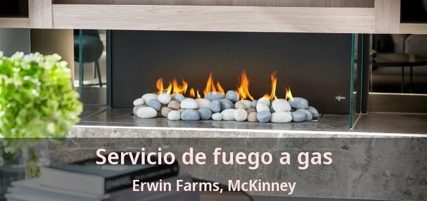 Servicio de fuego a gas Erwin Farms, McKinney - TX