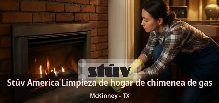 Stûv America Limpieza de hogar de chimenea de gas McKinney - TX Stûv America Limpieza de hogar de chimenea de gas McKinney - TX