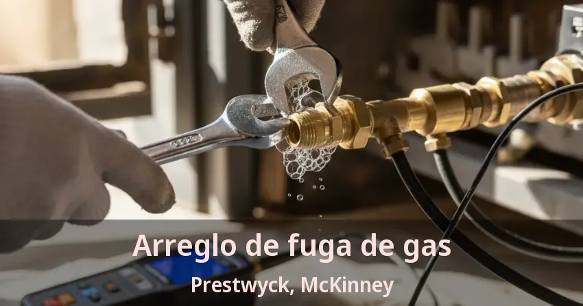 Arreglo de fuga de gas Prestwyck, McKinney - TX