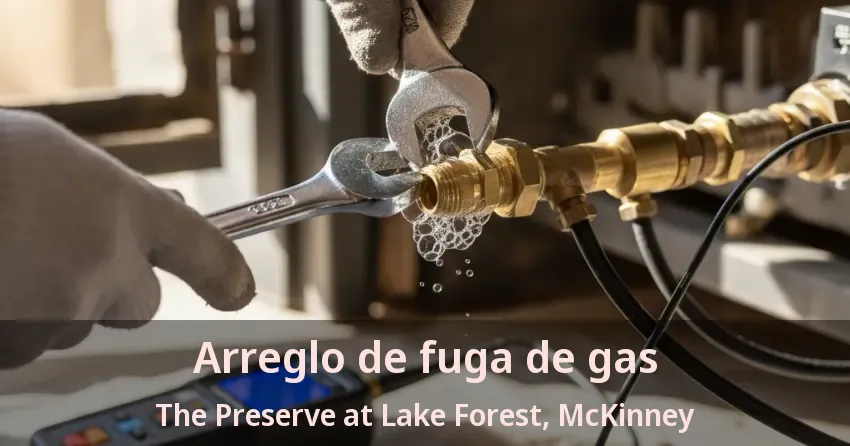 Arreglo de fuga de gas The Preserve at Lake Forest, McKinney - TX