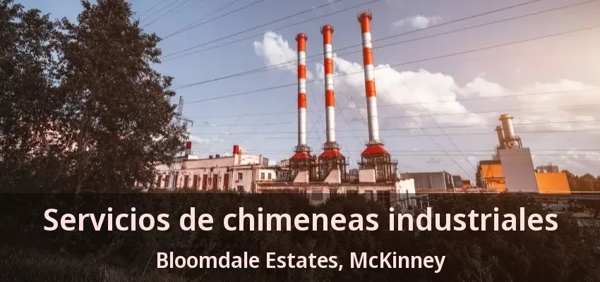 Servicios de chimeneas industriales Bloomdale Estates, McKinney - TX
