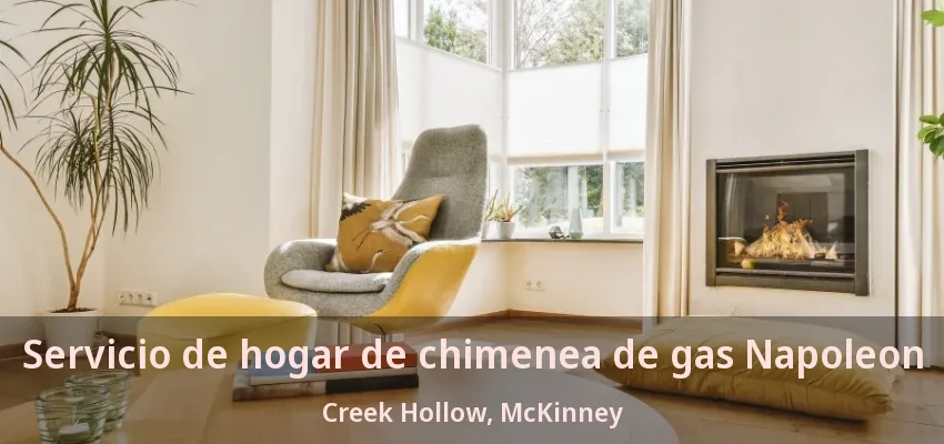 Servicio de hogar de chimenea de gas Napoleon Creek Hollow, McKinney - TX Servicio de hogar de chimenea de gas Napoleon Creek Hollow, McKinney - TX
