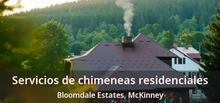 Servicios de chimeneas residenciales Bloomdale Estates, McKinney - TX Servicios de chimeneas residenciales Bloomdale Estates, McKinney - TX